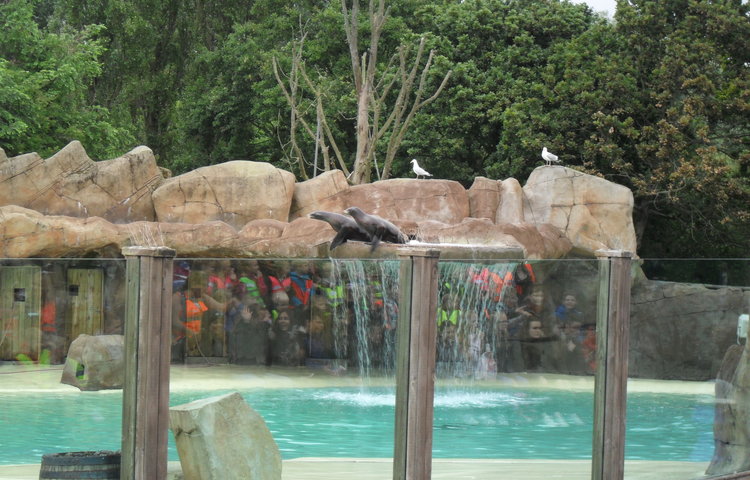 Image of Blackpool Zoo
